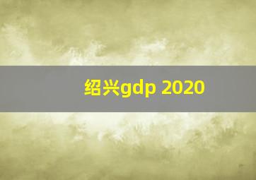 绍兴gdp 2020